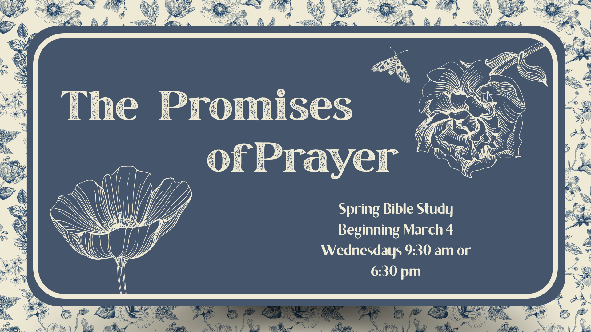 Women’s Bible Study